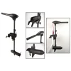 Moteur Electrique Haswing Osapian 40 Lbs