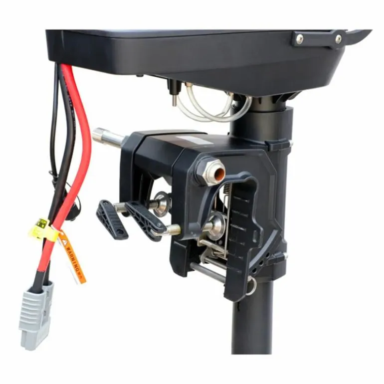 Moteur Électrique Haswing Brushless Armada F8 250Lbs 48V Commande À Distance