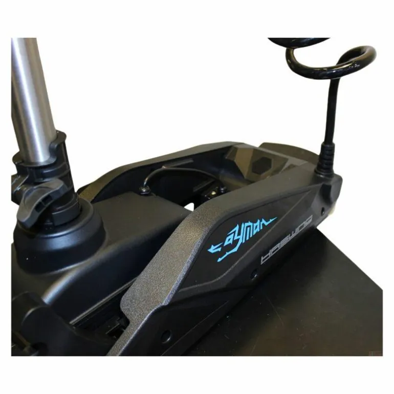 Moteur Électrique Haswing Cayman B Gps 120Lbs 36V Noir Version 1.6