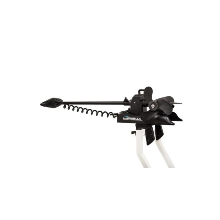 Moteur Électrique Haswing Cayman-B 80Lbs 24V