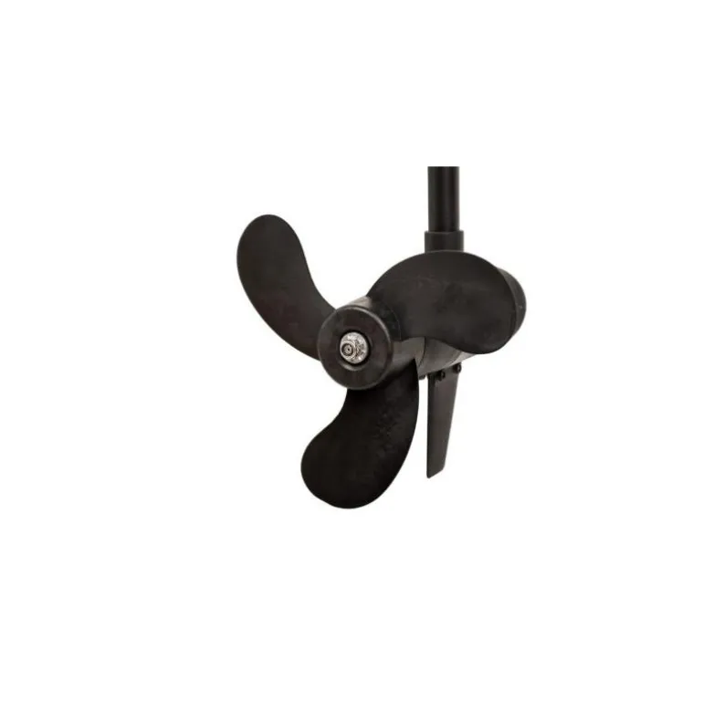 Moteur Électrique Haswing Cayman-B 80Lbs 24V