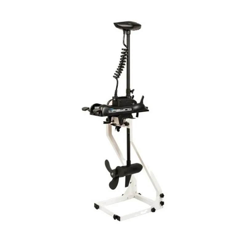 Moteur Électrique Haswing Cayman-B 80Lbs 24V