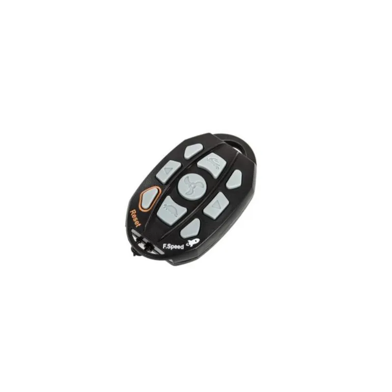 Moteur Électrique Haswing Cayman-B 80Lbs 24V