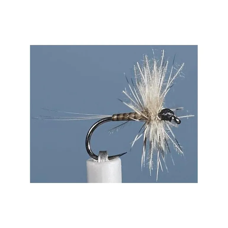 Mouche Jmc Ephemere Eli 20 Bl