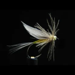 Mouche Jmc Ephémères Ornans 21 Bl