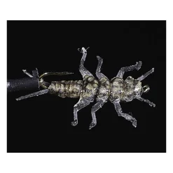 JMC Mouches^Mouche Nymphe Jig 100