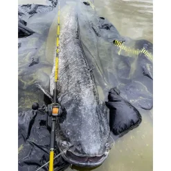 Moulinet Casting Black Cat Cast 301 Lh