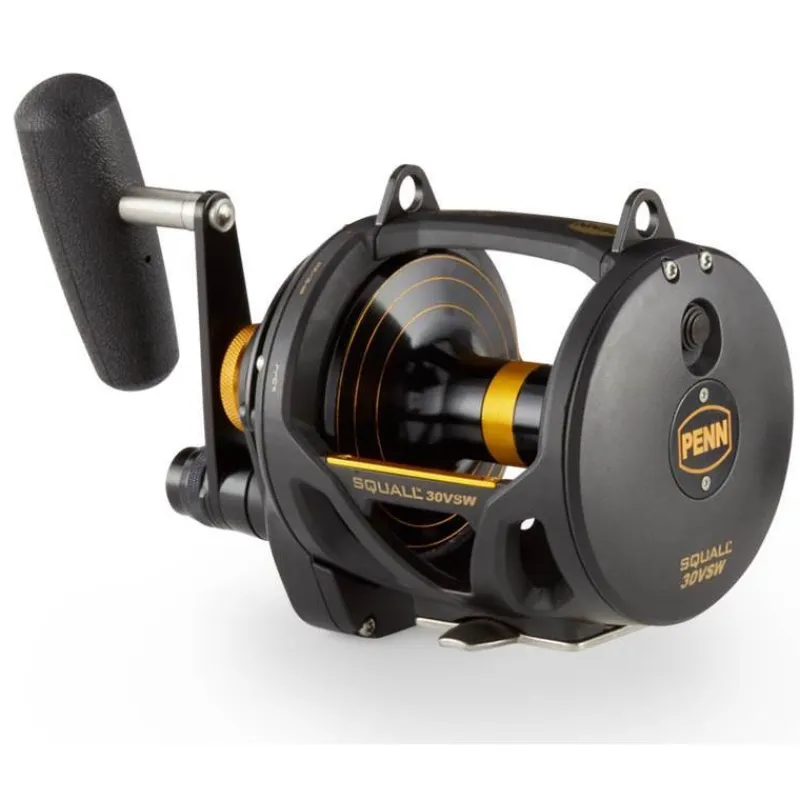 Penn Moulinets Mer^Moulinet Mer Traine Squall Lever Drag 2 Speed