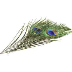 Devaux Fly Tying^Oeil De Paon + Barbes