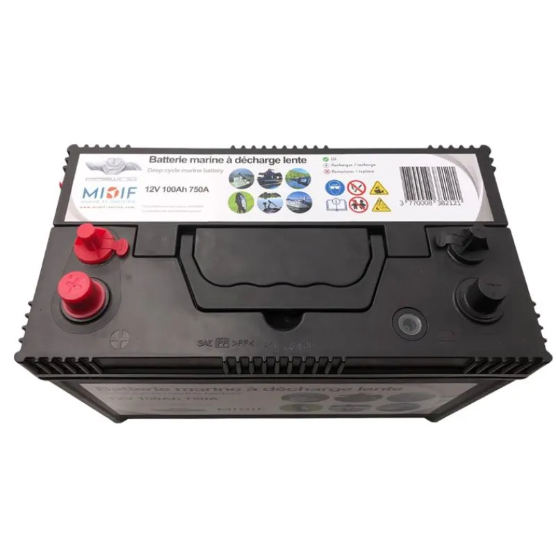 Haswing Moteurs Électriques Bateau^Pack Energy Cayman B 55Lbs Avec Pédale Sans Fil, Télécommande, Plaque Quick Release Et Batterie Marine 12V100amp