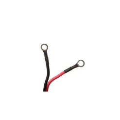 Pack Moteur Haswing Cayman B 55Lbs + Pédale De Direction Et Plaque Quick Release