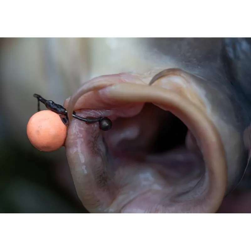 Pole Position Montages Carpe^Plomb Carpe Tungsta Hook Shot