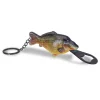 Anaconda Calendriers De L'Avent|Calendriers De L'Avent^Porte Clef Beauty Common Carp-Schuppenkarp Opener