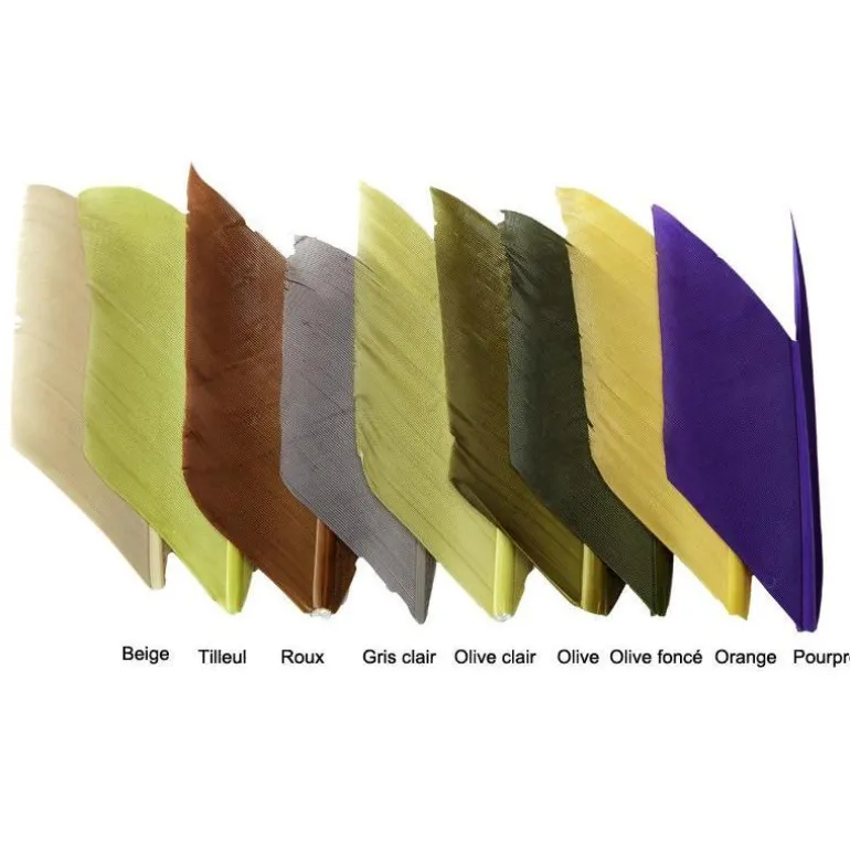 Quill D'aile De Dinde Jmc
