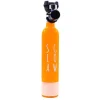 Recharge Sea Gow Pour Bouteille De Plongee 300