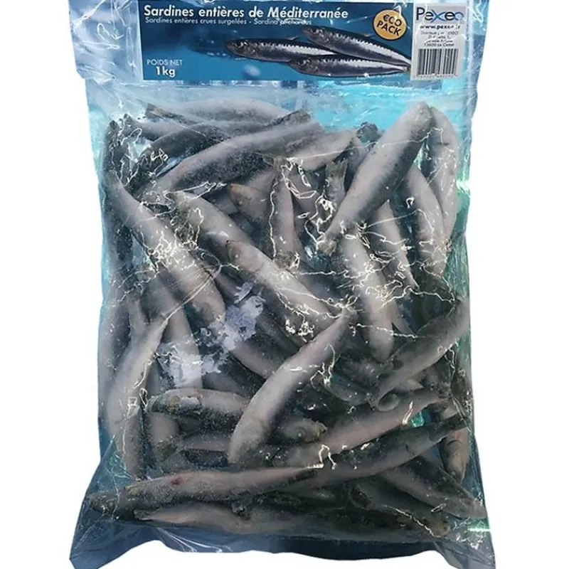 Pexeo Appâts Naturels - Amorces^Sardines Entières De Méditerranée Surgelées Eco - 1Kg