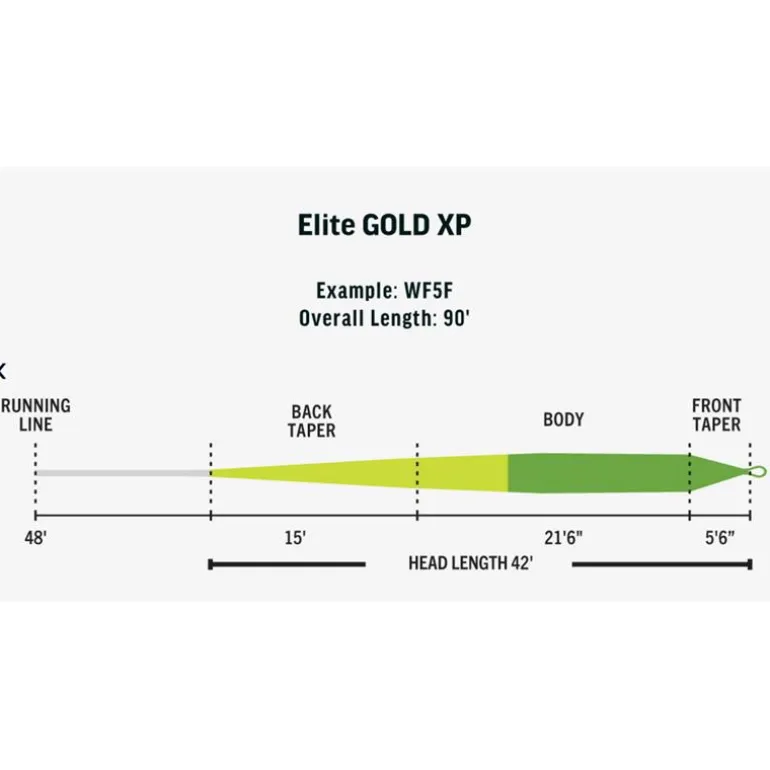 Soie Rio Elite Gold Xp