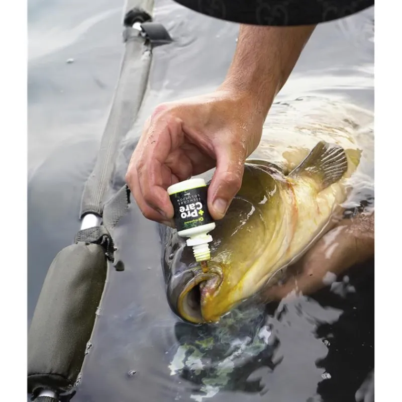 Ridge Monkey Réception - Pesée^Soin Pour Poisson Procare