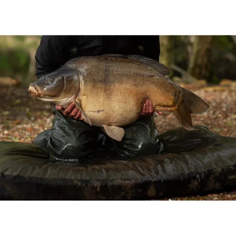 Tapis De Réception Korda Hybride Compac