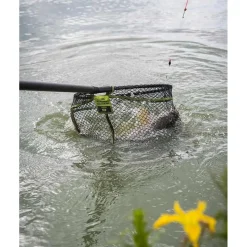 Fox Matrix Epuisettes - Bourriches^Tête D'épuisette Carp Scoop Landing Net