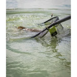 Fox Matrix Epuisettes - Bourriches^Tête D'épuisette Carp Latex Landing Net