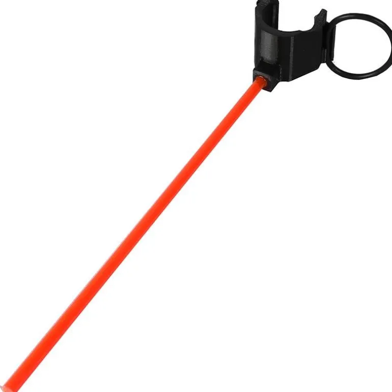 Viseur Perche De Sonde Live Pike'n Bass